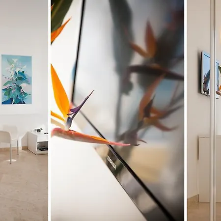 Szálloda Caravelle Thalasso & Wellness 4*