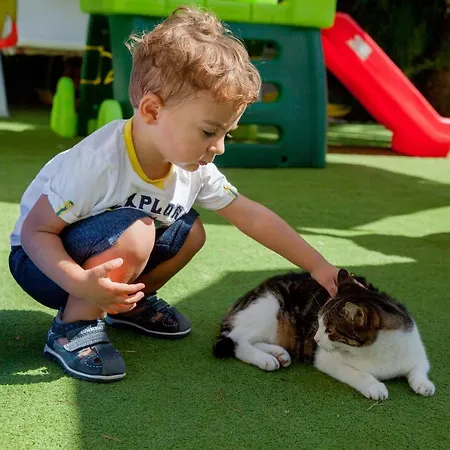 Hotel Caravelle Thalasso & Wellness