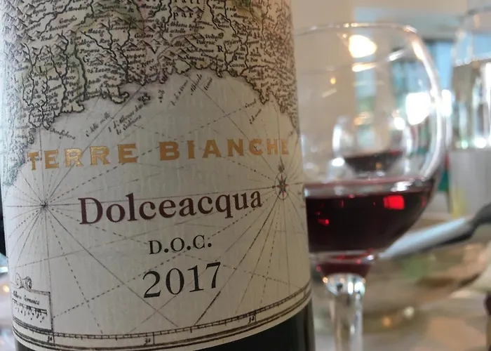 卡拉维尔海水按摩&健康酒店 酒店